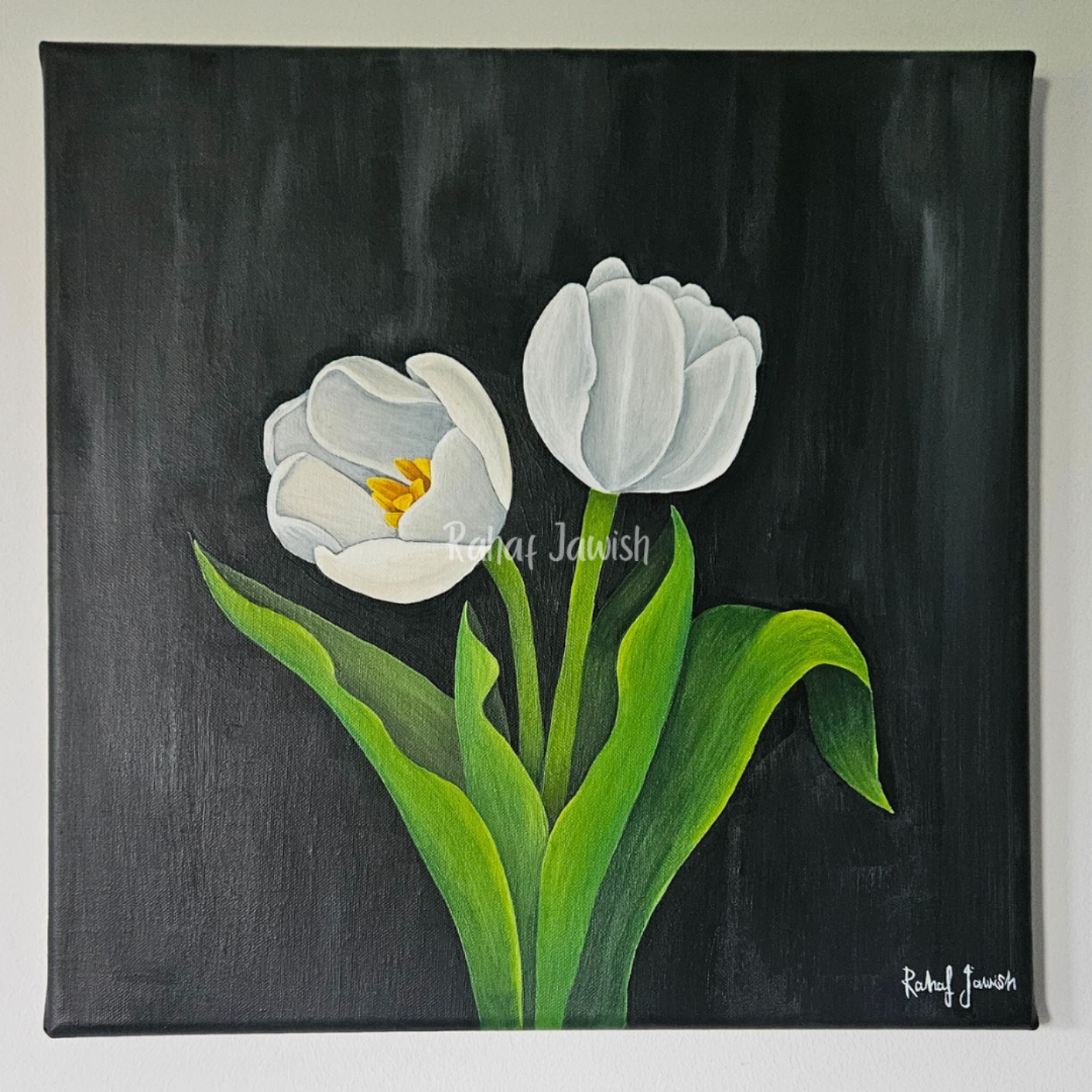 Tulip